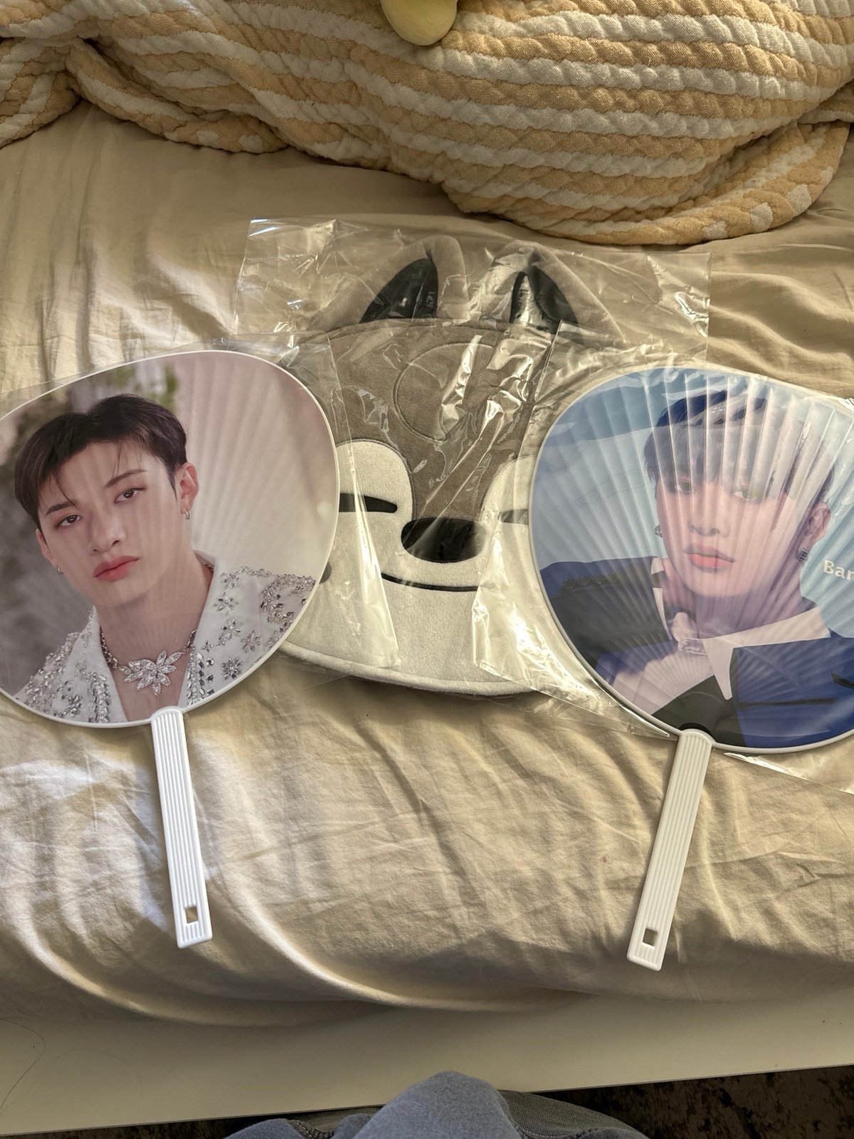 Bang Chan Image Picket and Picket cover