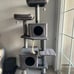 Tall Cat Tree