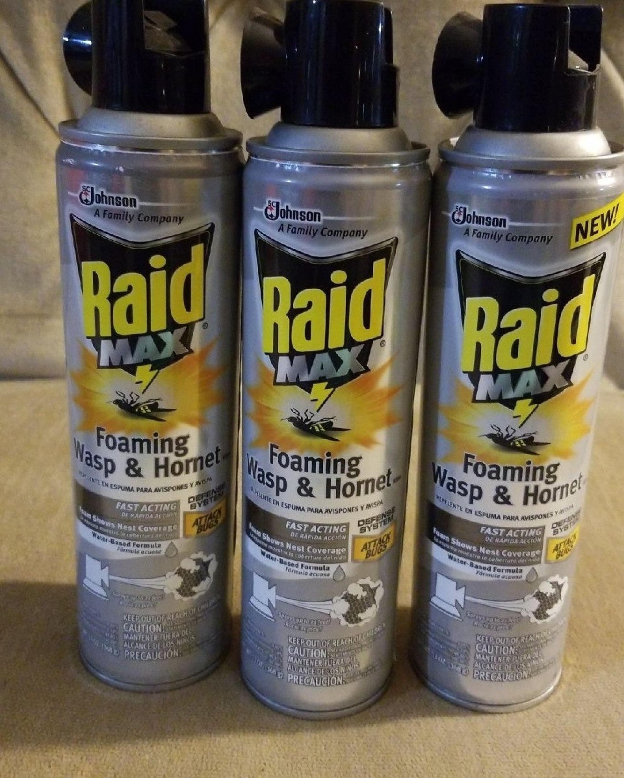 Raid Max Foaming Wasp & Hornet Spray