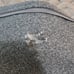 BRAND NEW Sleep Number Climate 360 FlexTop King Outer Shell