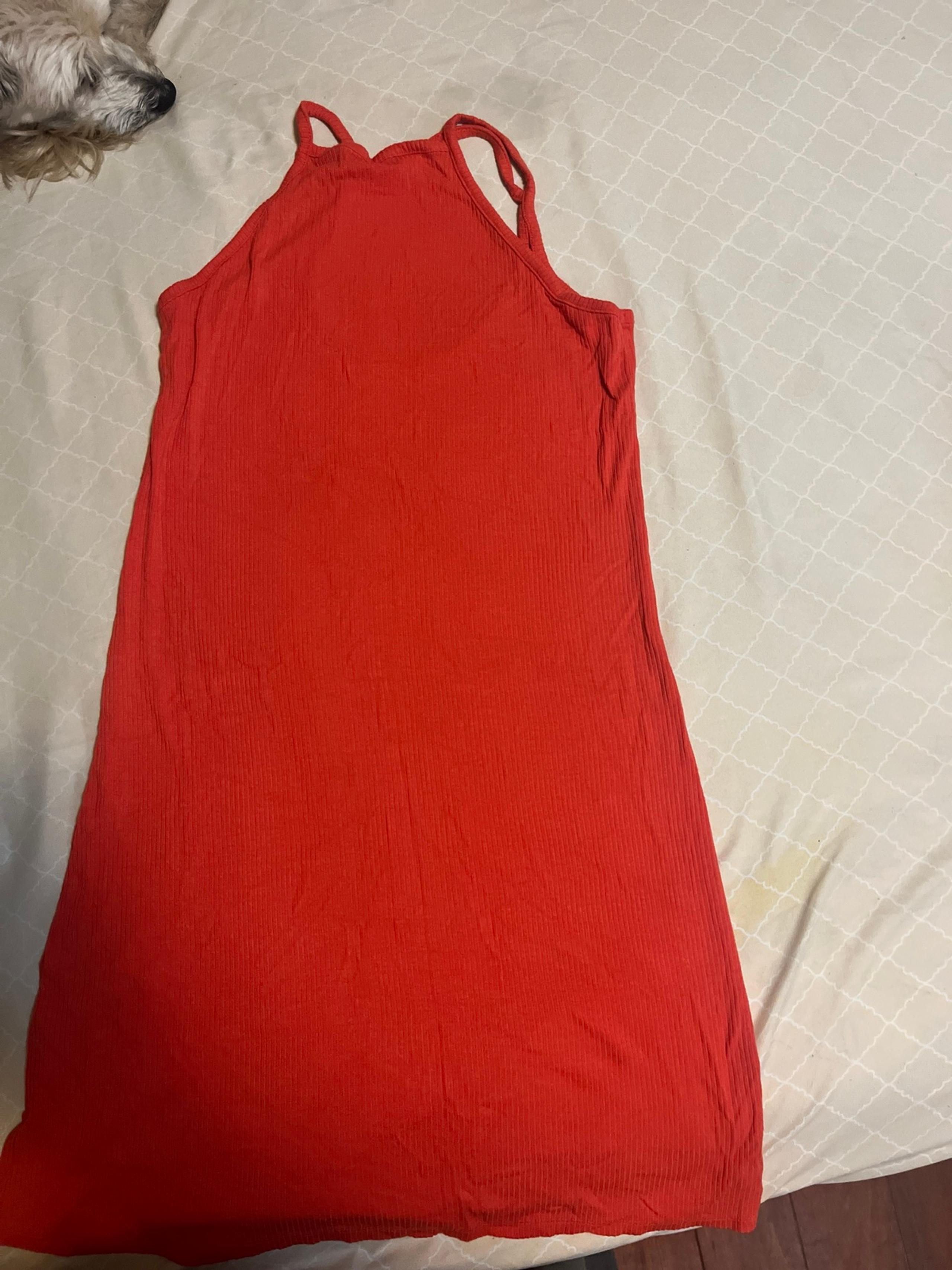 Fitted summer dress