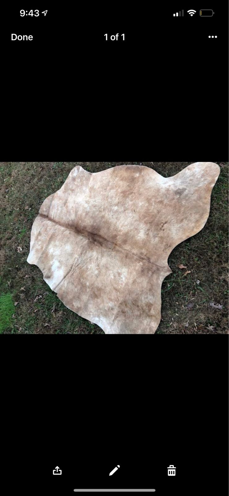 Cowhide rug
