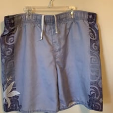 Mens bathing suit