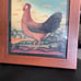 Rooster Picture by Diane Ulmer Pedersen