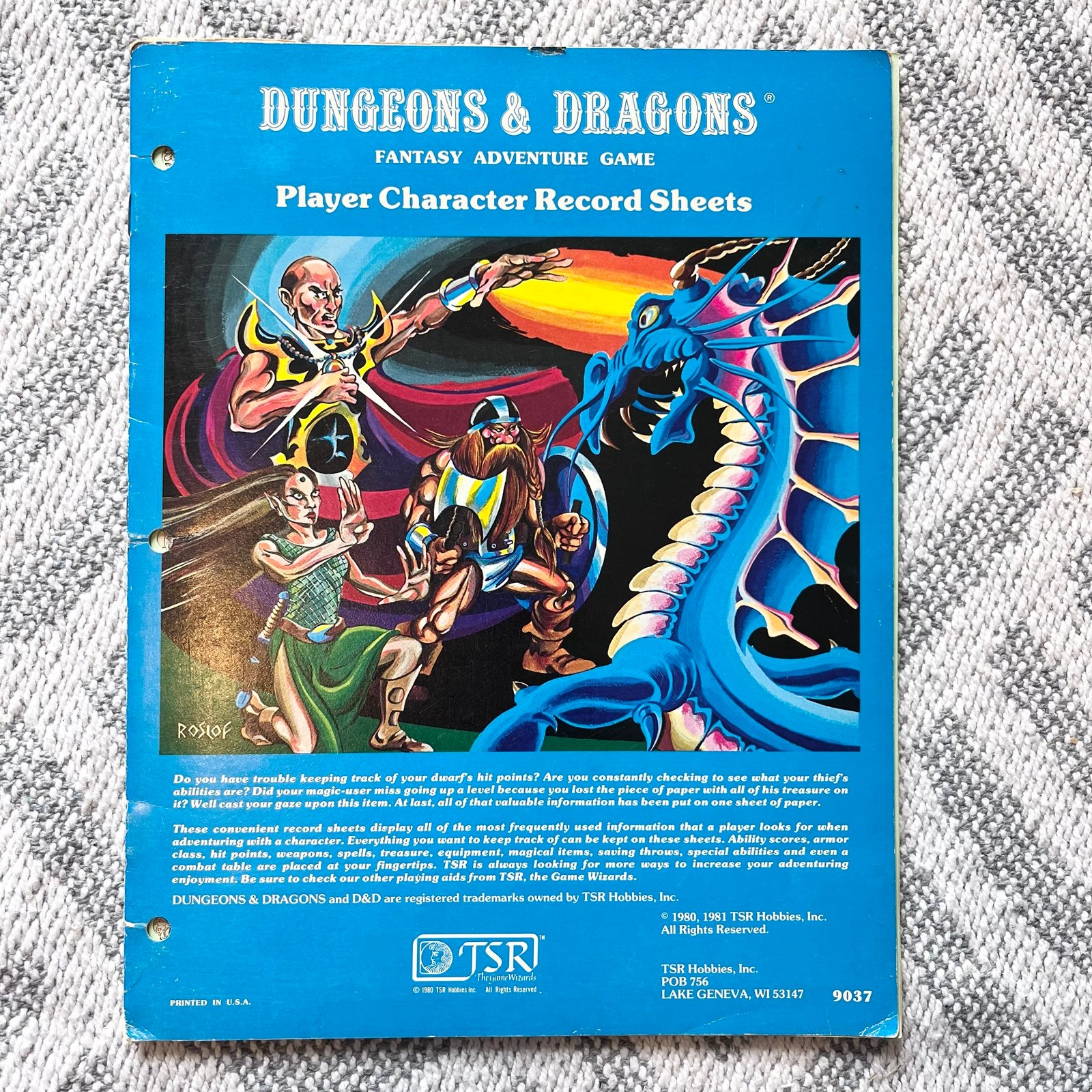 Dungeons & Dragons Player Character Record Sheets (9037) 1980, 1981