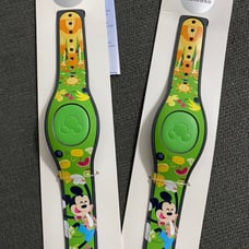 Disney 2019 Limited Release Summer MagicBand