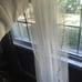 wedding veil
