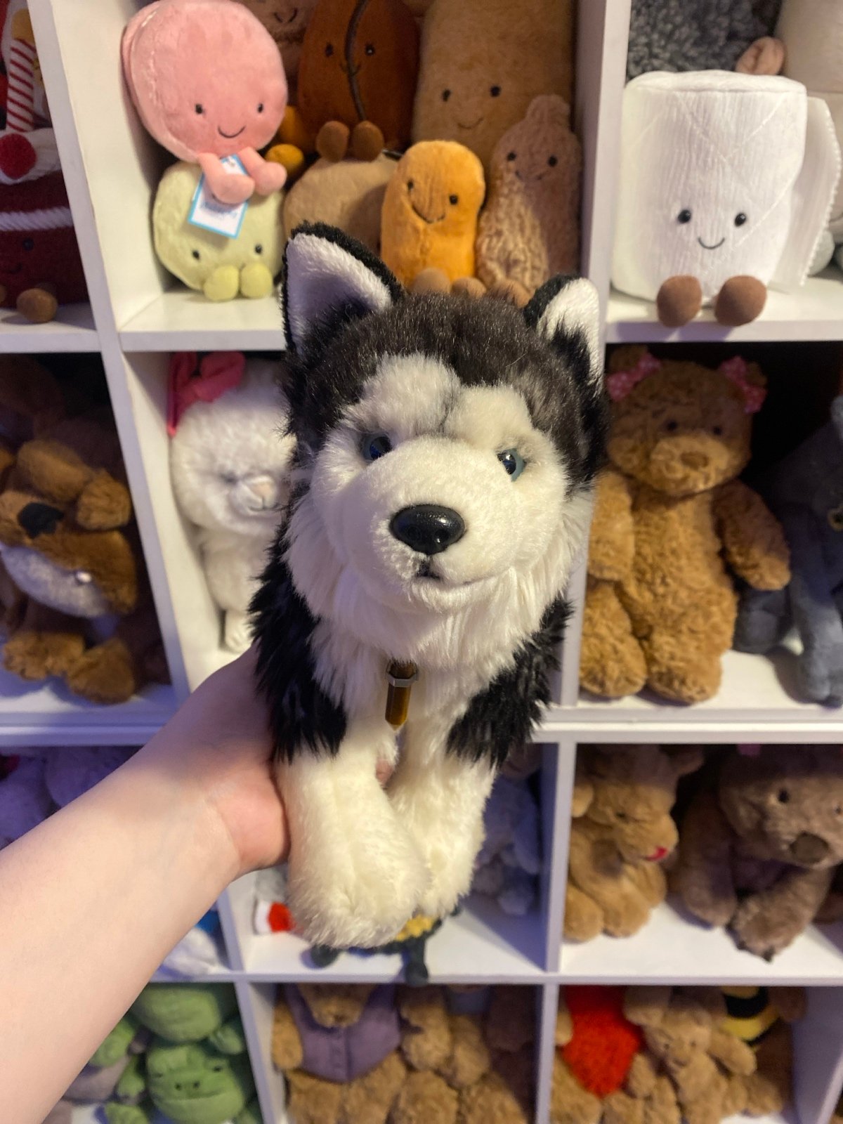 Webkinz signature husky