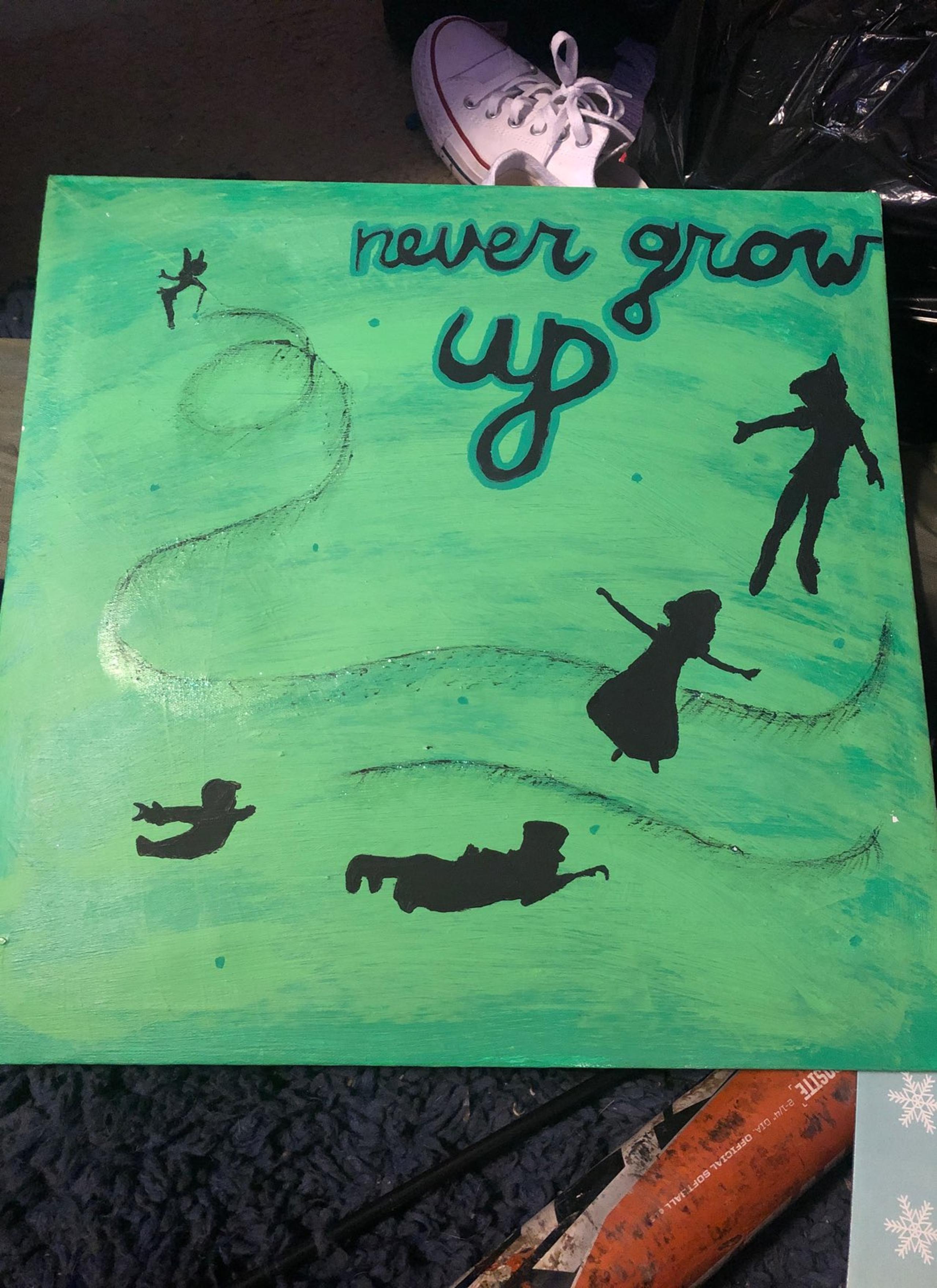 Peter Pan Canvas Painting