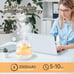 Plant top filling air humidifier-TY5SDF