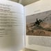 War Hawgs: A-10s of the USAF, Don Logan, Schiffer Military Hardcover