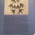 LN 1976 PB “ BEYOND REASON” Art and Psychosis FREE SHIP