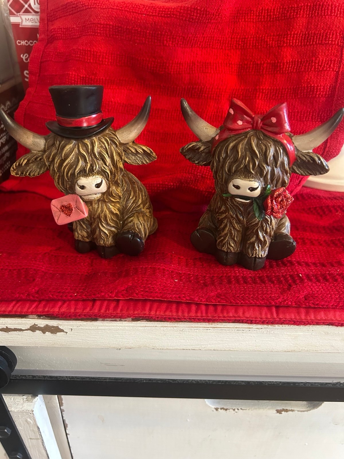 Valentine Highland Cows