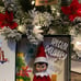 Elf on the shelf custom arrival