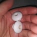 Vintage Mcm Hollywood Recency Set Of 11 Gold & White Drawer Pulls W Screw OBO