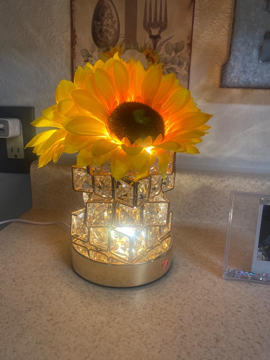 Sunflowers Flower Lamp, Rechargeable Cordless Touch Table Lamp,3-Colour