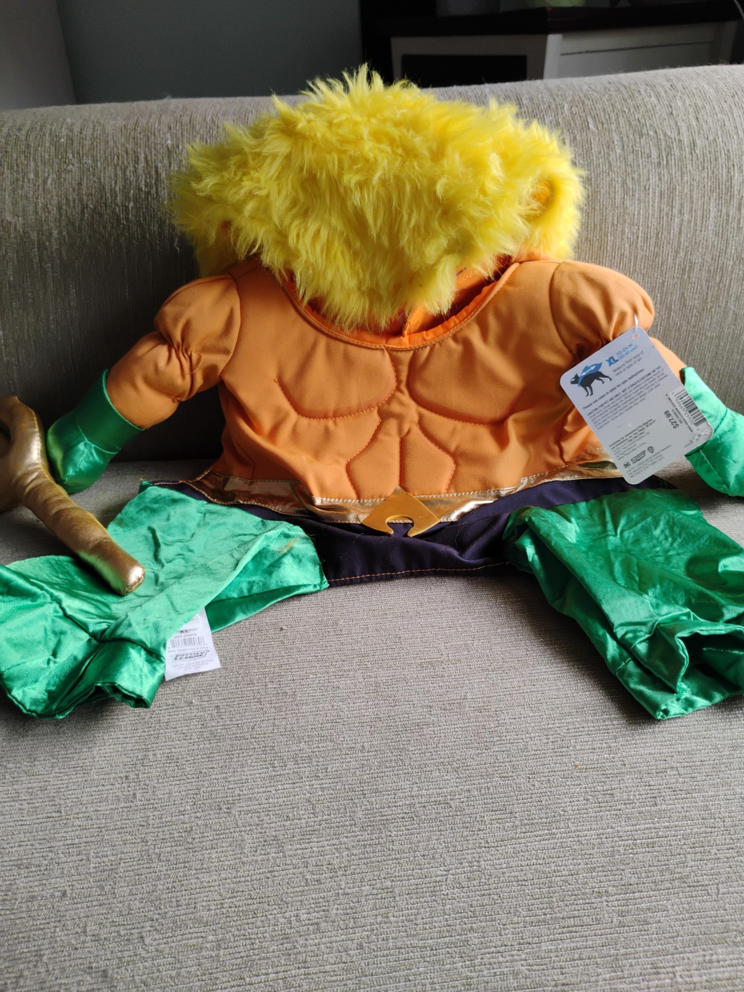 Aquaman Pet Costume
