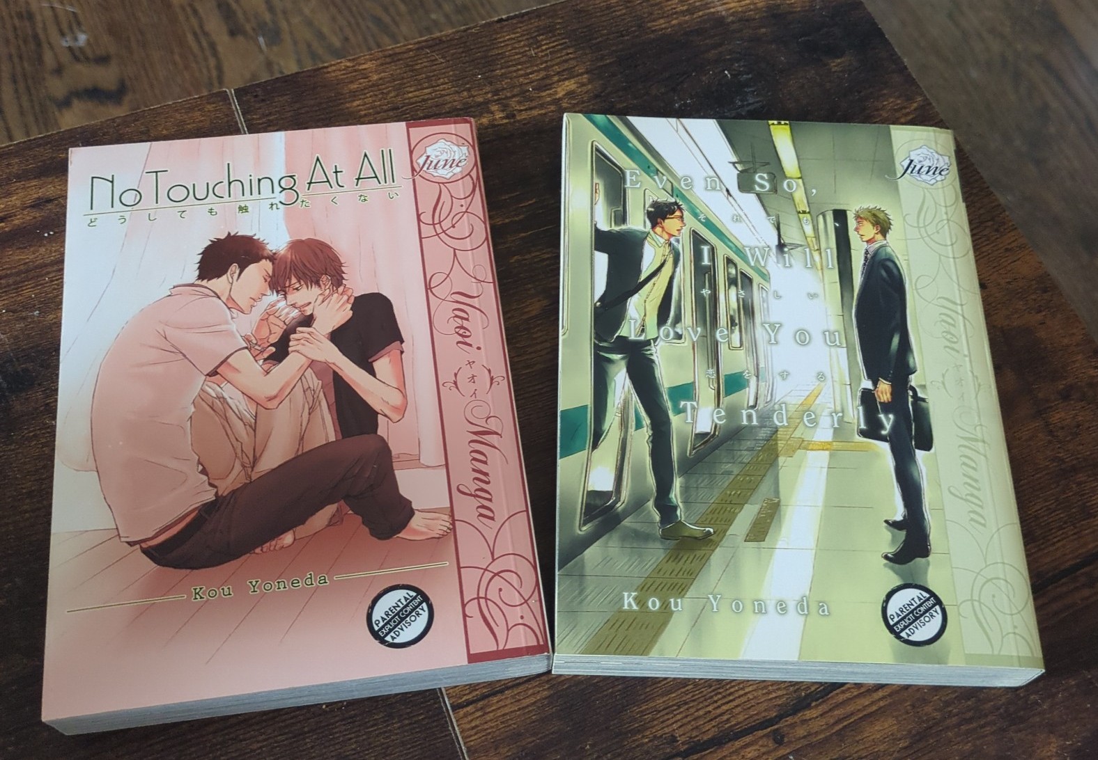Night S No Touching All & Even So I Will Love You Tenderly BL Manga Bundle Lot