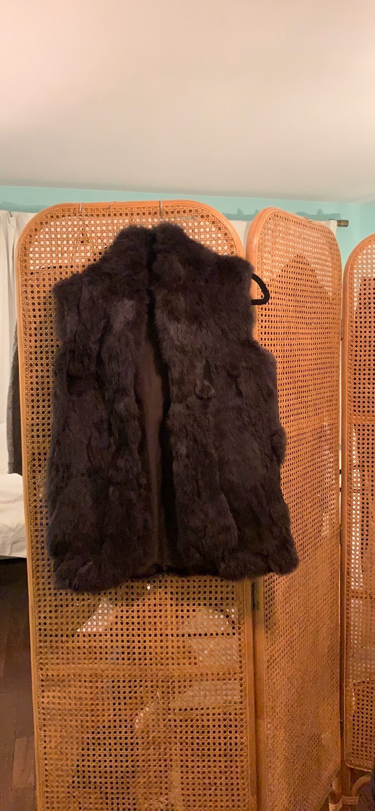 fur vest