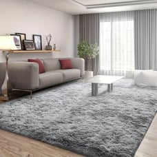 Area Rug