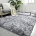 Area Rug