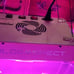BLOOMSPECT LED Grow Light Full Spectrum 1000W, Plant Grow Light with Veg & Bloom