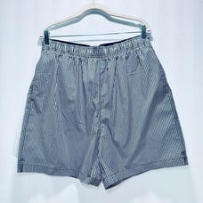 Daniel Cremieux Men’s Surf Gear Shorts Swim Trunks Blue White Check NWOT Size L