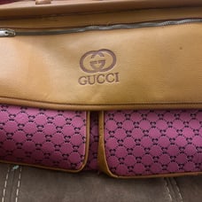 Gucci Bag/Purse