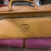 Gucci Bag/Purse