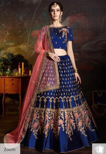 Indian Lehenga / Chanya choli