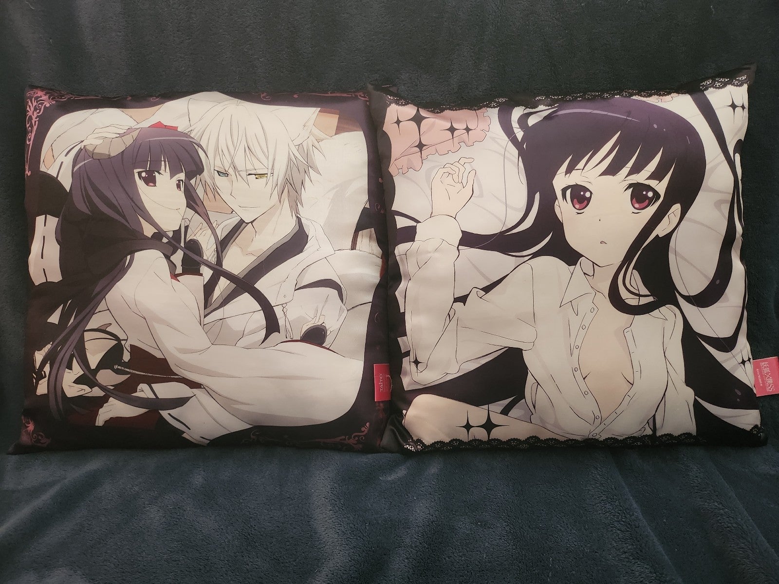 Inu x Boku SS Pillows
