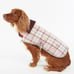 sz L - Barbour Wetherham Tartan Dog Coat in dewberry MSRP90 Lgweight Waterproof