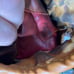 Rawlings baseball glove
