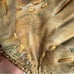 Rawlings baseball glove