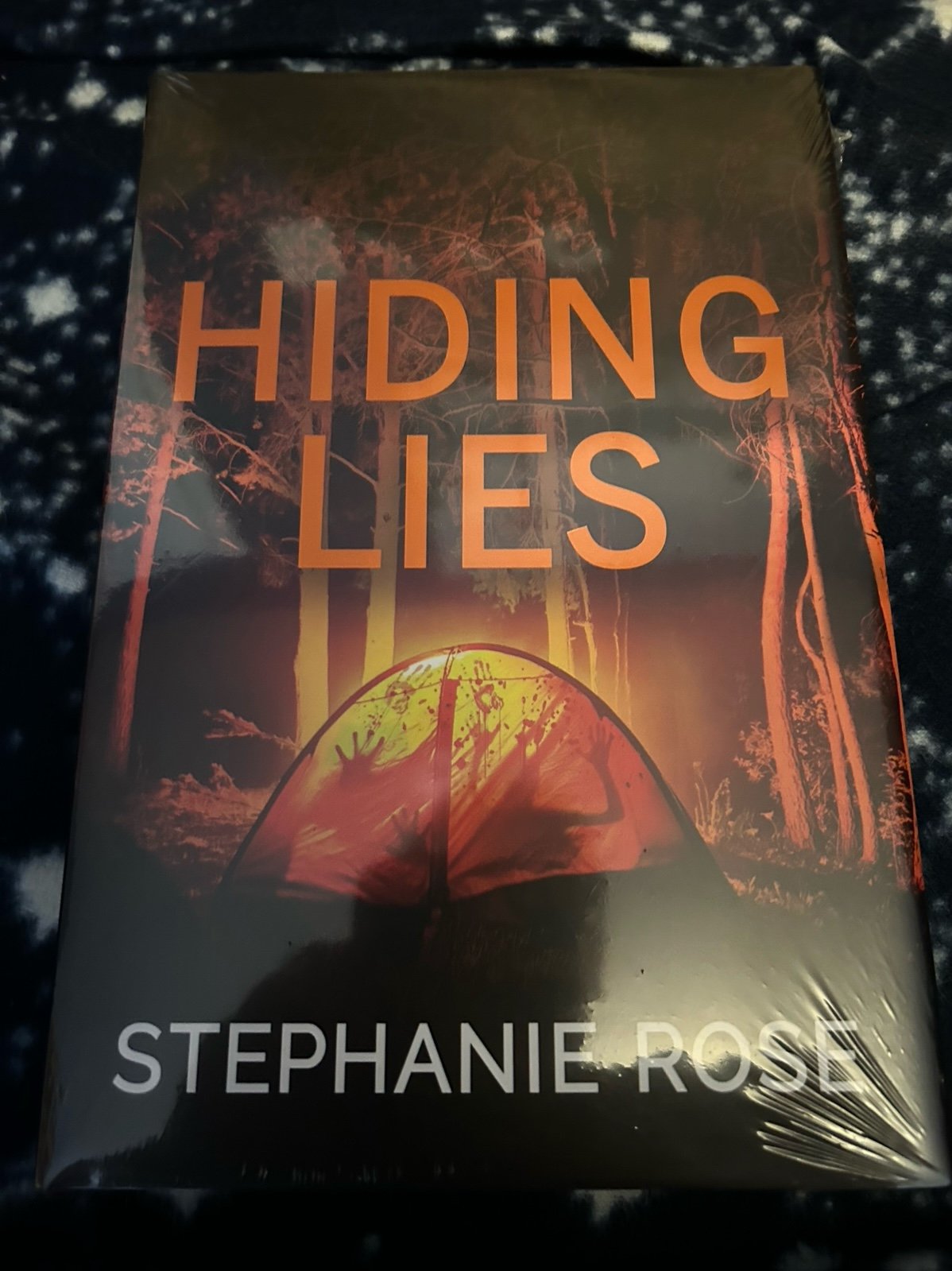 Hiding Lies by Stephanie Rose