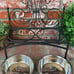 Black Wrought Iron Elevated Pet Feeder W/Silver Bowl Set; Ornate Scroll Design