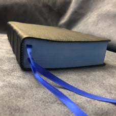 ESV macarthur study bible