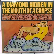 A Diamond Hidden in the Mouth of a Corpse LP Record 1985 GPS 035 Ultrasonic NM