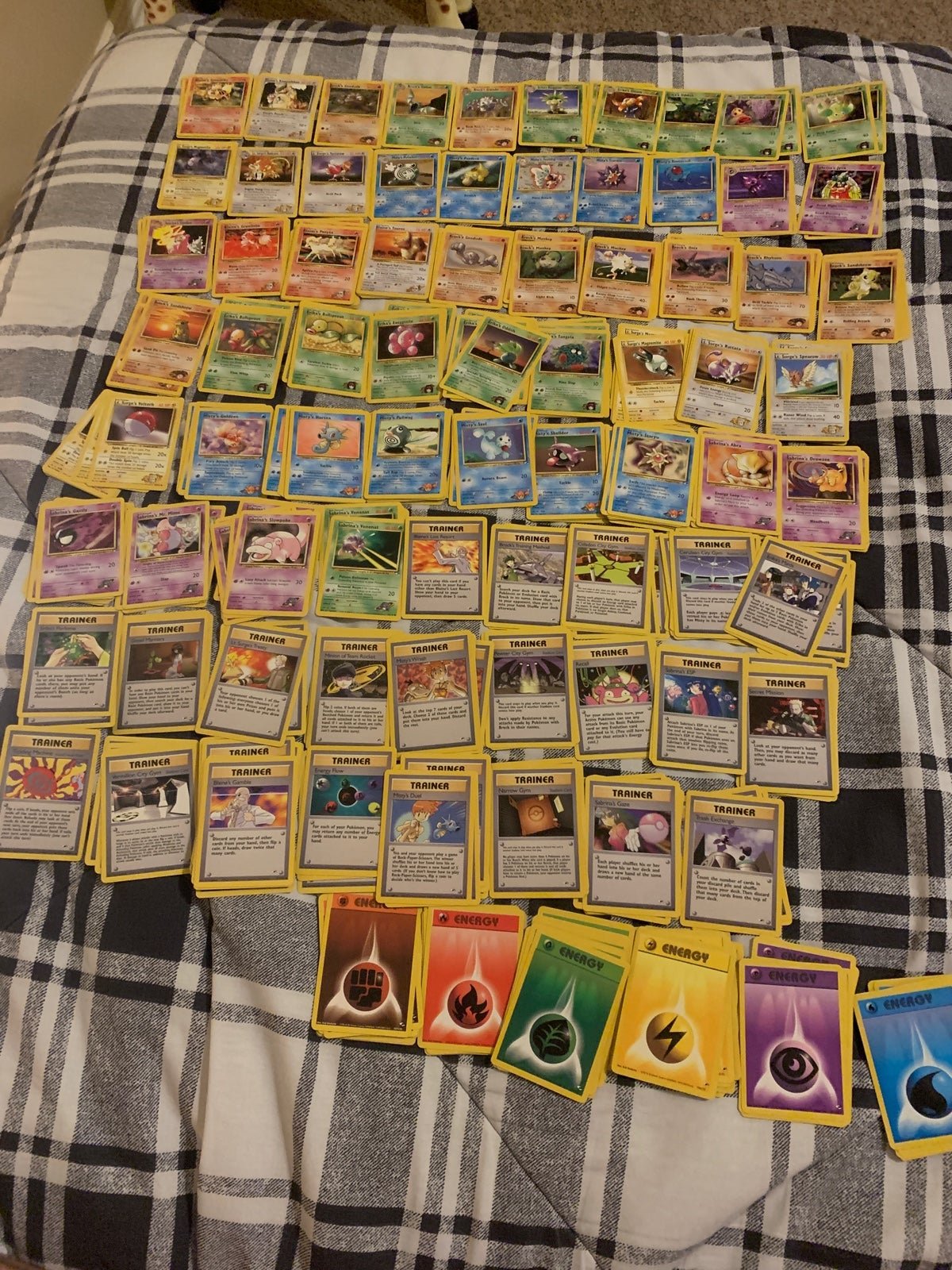 Pokémon TCG Gym Heroes - See Description