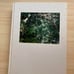 Risaku Suzuki Photo Exhibition: The Flow of Consciousness - Catalog
