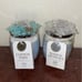 Cotton pads and wedge sponges jars