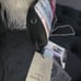 Nicole Lee special Ny addition clutch