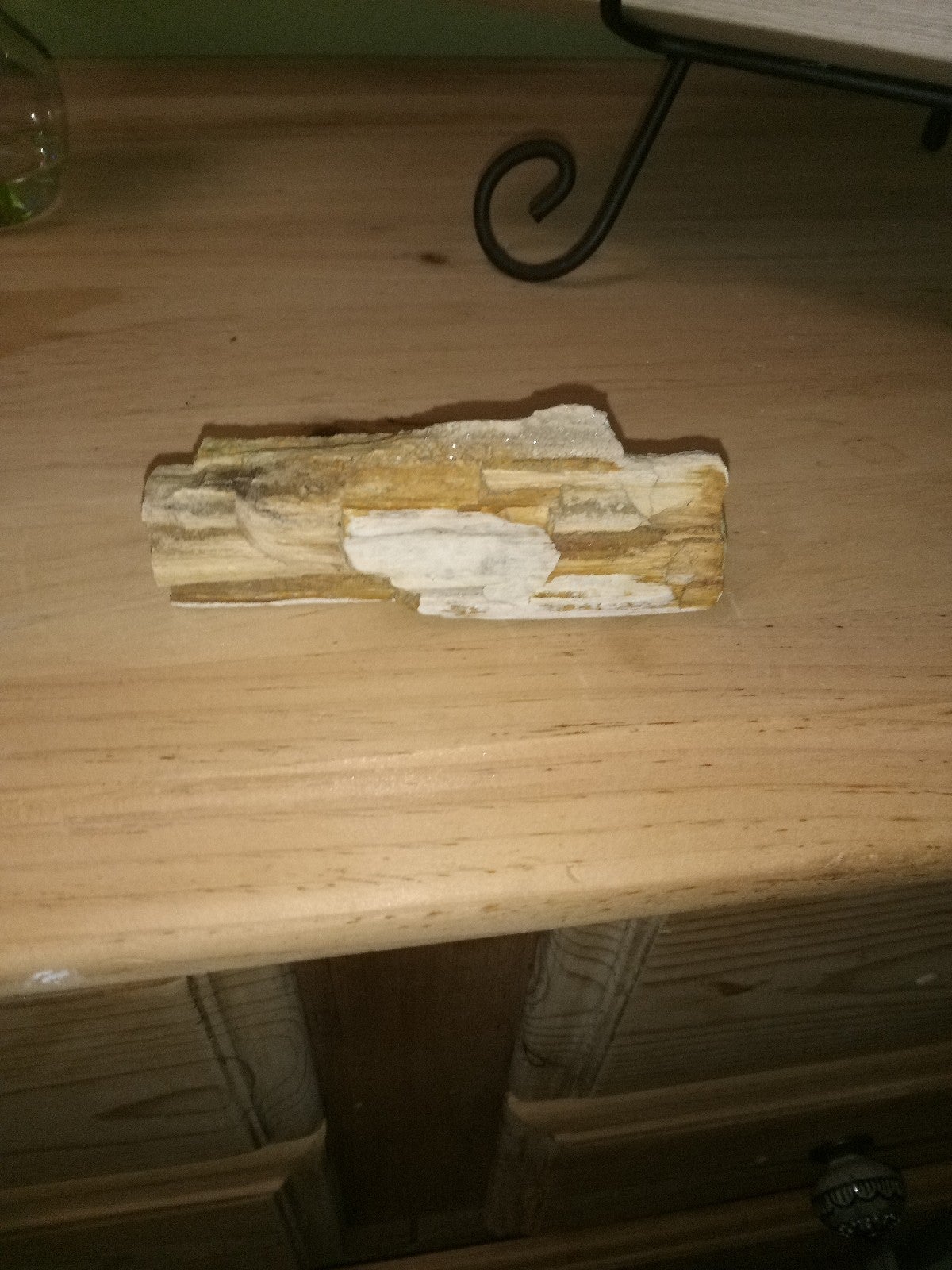 Ancient petrified stone wood