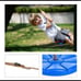 New Disc Swing Kids Seat Swing Rope Tree Fun