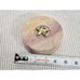 Vintage Star Storage Resin Box Container