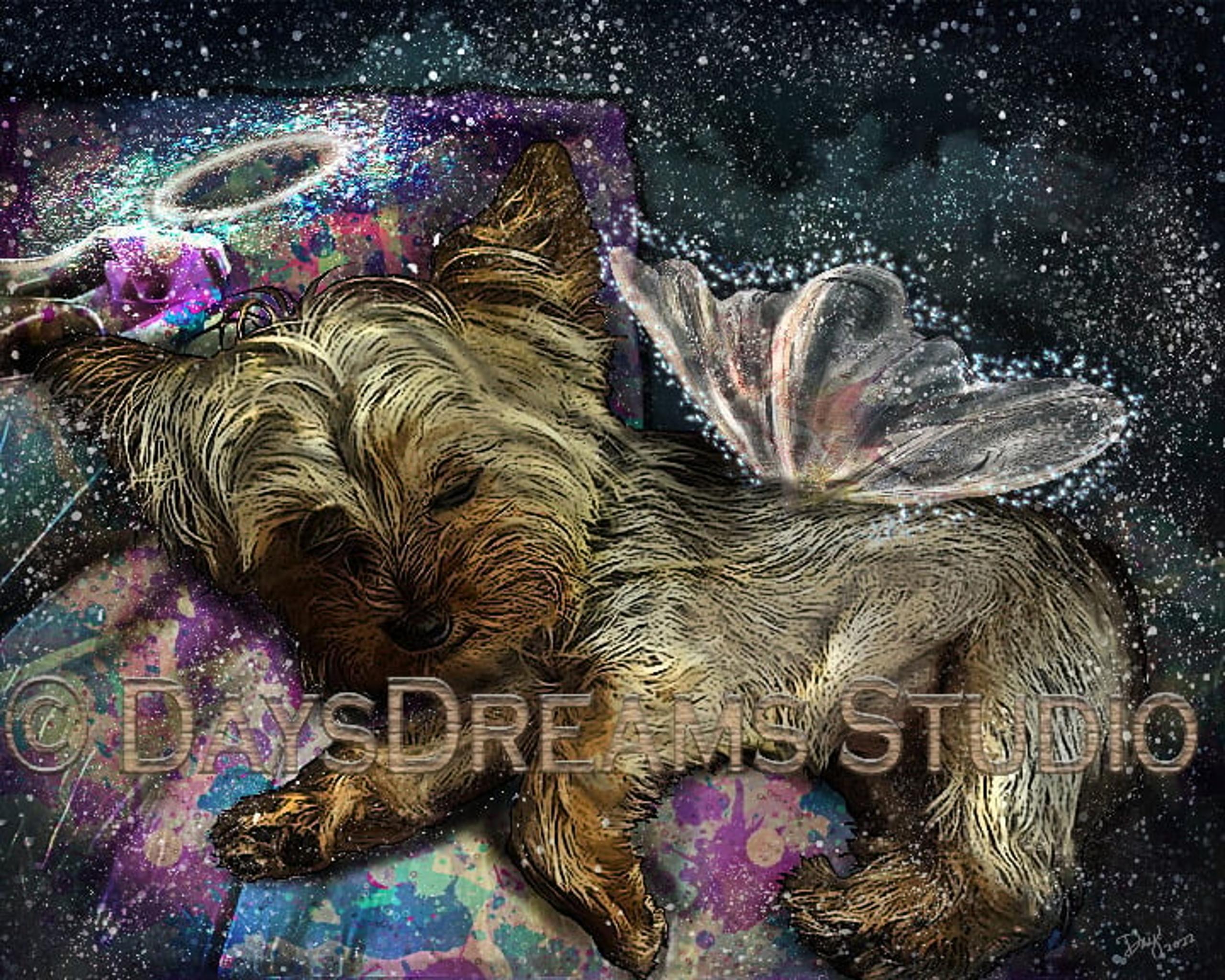 Toy Yorkie Yorkshire Terrier Tribute with Angel Wings Halo Memorial Print 8x10