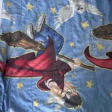 Vintage Harry Potter Comforter