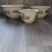 Corelle Coordinates Textured Leaves 1, 2, & 3 Quart Mixing Bowls ( Set of 3 )