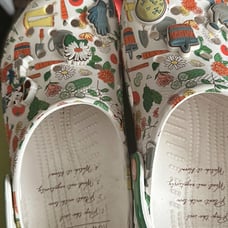 Flower and garden Disney crocs