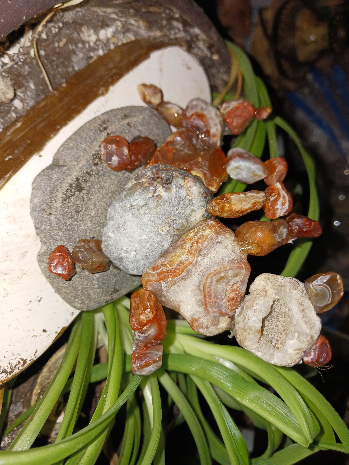 Plant decoration lake superior agates rough
